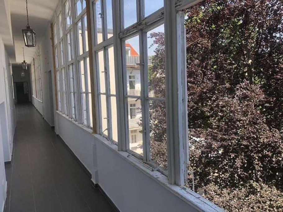 Paraderma Apartment Im Zentrum Baden Bei Wien Dış mekan fotoğraf